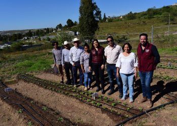 Programa piloto de huertos comunitarios se fortalece con participación ciudadana