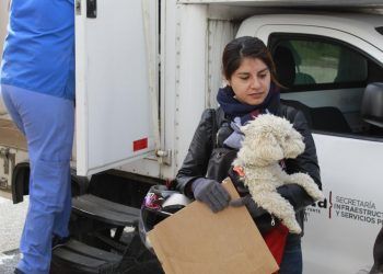 Realizan jornadas de vacunación y esterilización canina y felina