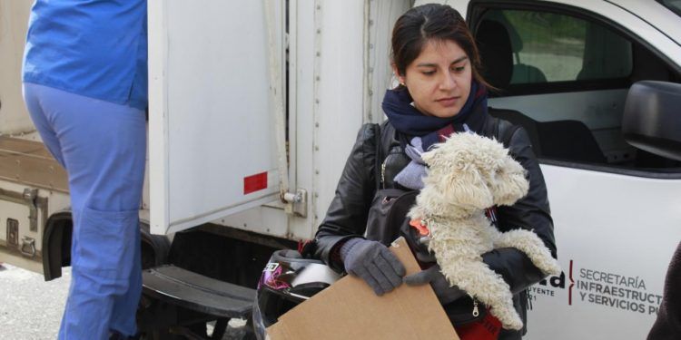 Realizan jornadas de vacunación y esterilización canina y felina