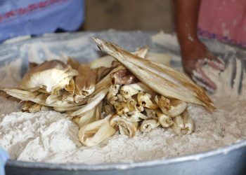 Celebran en Canoa la 7a Feria del Maíz y el Pulque