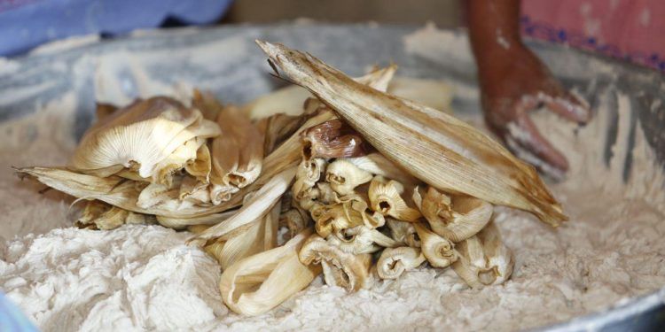 Celebran en Canoa la 7a Feria del Maíz y el Pulque