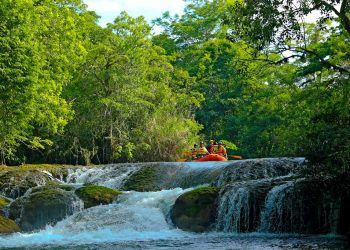 Gobierno de AMLO planea fin de la Selva Lacandona