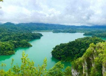Buscan diálogo con gobierno de AMLO para frenar destrucción de Selva Lacandona