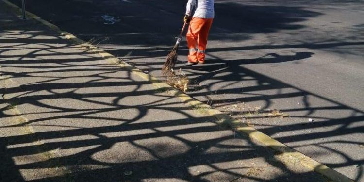 Garantizan limpieza en zonas aledañas al Parque Ecológico