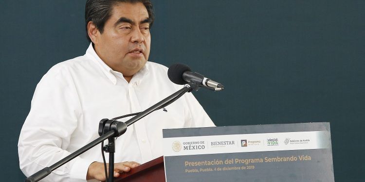Recuperar la tierra para mejorar la calidad de vida, objetivo de “sembrando vida”: MBH