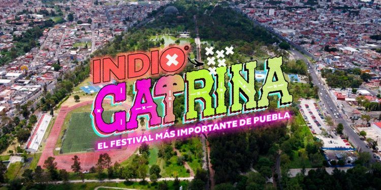 Empresa organizadora del Festival Catrina deberán sembrar 400 árboles