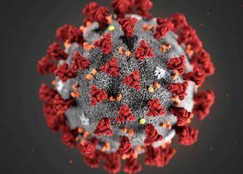 Guía urgente para afrontar la pandemia por coronavirus