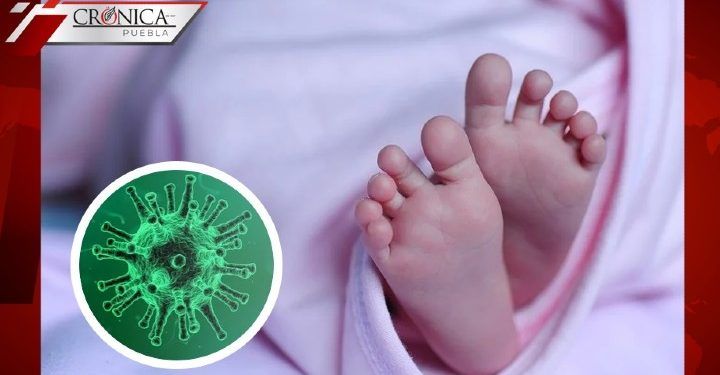 Secretaría de Salud informa que 2 bebés fueron infectados con COVID-19