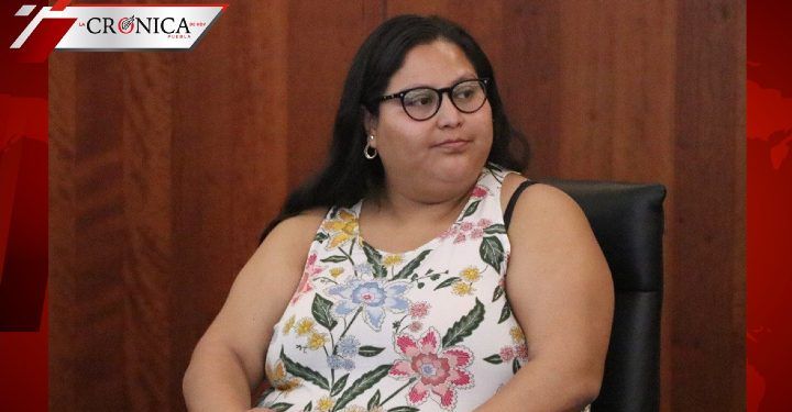 Senadora de Morena pide a funcionarios dar medio sueldo para enfrentar la COVID-19