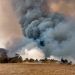 Puebla registra ocho incendios forestales activos