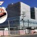 IMSS lanza línea telefónica gratuita para atender dudas sobre la COVID-19
