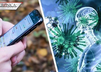 OMS habilita número de WhatsApp para responder dudas sobre el COVID-19