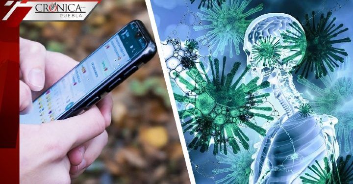 OMS habilita número de WhatsApp para responder dudas sobre el COVID-19