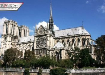 Policía de Francia reporta intento de robo en Notre Dame pese a coronavirus
