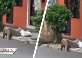 Indigna video de mujer desmayada en la calle; nadie la ayudó por miedo al COVID-19