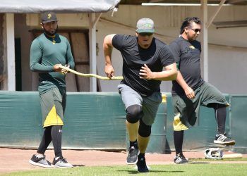 Pericos de Puebla suspende juegos de pretemporada