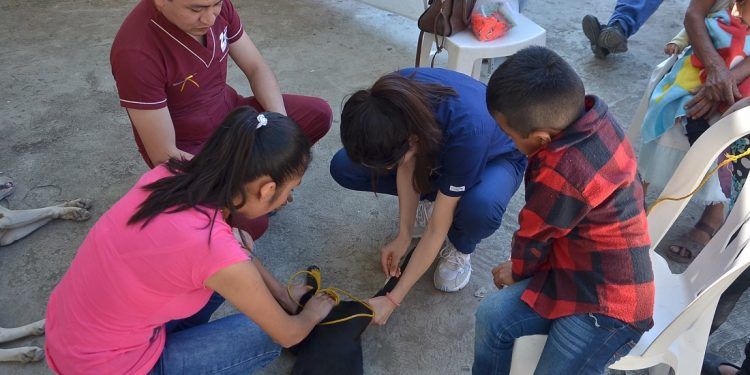 Por Covid-19 aplazan Semana Nacional de Vacunación Antirrábica
