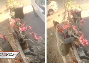 #LadyMacetas: la historia de robo y arresto de una mujer en cuarentena (VIDEO)