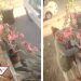 #LadyMacetas: la historia de robo y arresto de una mujer en cuarentena (VIDEO)