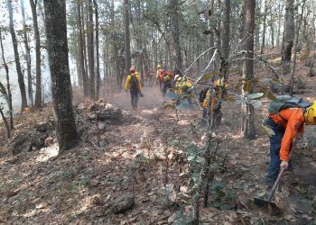Brigadistas combaten doble incendio forestal en Zacatlán