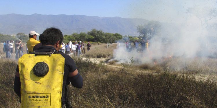 La Conafor combate 50 incendios forestales en el país