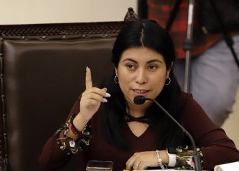 PAN Puebla usa crisis de COVID-19 para salir de exilio político, señaló diputada del PES