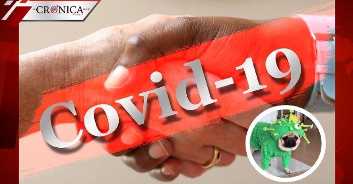 ¿Firulais, eres tú? Viralizan disfraz para perro basado en la COVID-19