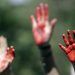 Feminicidios, la otra pandemia en México