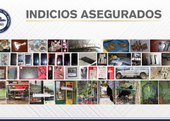 Fiscalía Puebla decomisa armas, drogas y aves en inmuebles del edil de Ajalpan