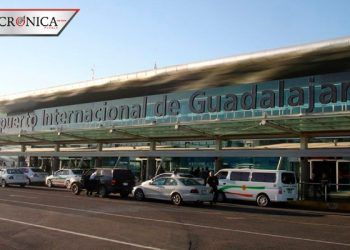 Reviven historia de perro que halló a tigre empaquetado en aeropuerto de Jalisco