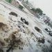 Granizo pinta de blanco municipios poblanos