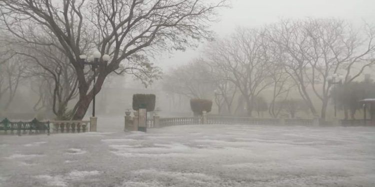 Tormenta deja inundaciones y árboles caídos en Tehuacán