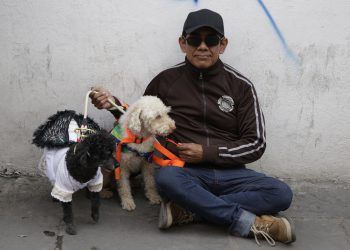 Cuautlancingo presenta nuevo reglamento de Tenencia Responsable y Control de Perros y Gatos