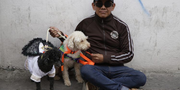 Cuautlancingo presenta nuevo reglamento de Tenencia Responsable y Control de Perros y Gatos