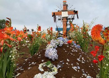Consumo de alcohol provoca tres muertes cada 24 horas