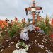 Consumo de alcohol provoca tres muertes cada 24 horas