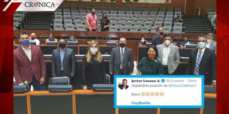 Apoyo a la SCJN: redes respaldan invalidación de la Ley Bonilla
