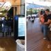 Tunden en redes a restaurante de Brasil por no tomar medidas de higiene (VIDEO)