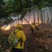 Conafor reporta 23 incendios forestales activos en México