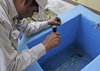 Puebla capital descarta brote de dengue