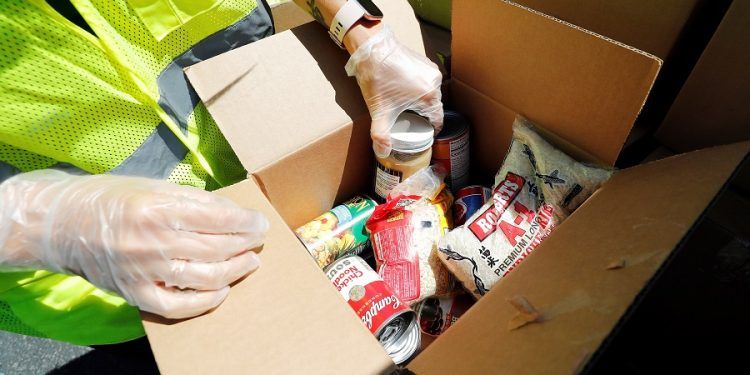 Tierrita viajera y taco urgente