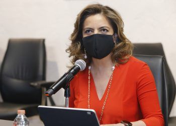 Propone Olivia Salomón priorizar impulso a Pymes ante pandemia