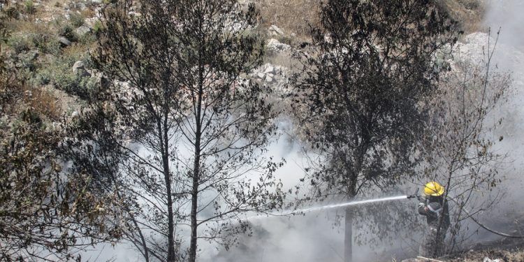 Puebla, séptimo nacional en incendios forestales 