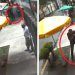 Nace #LordBanqueta, el hombre que agredió a mujer y abuelito en CDMX