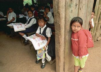 Desde mi escritorio / La malnutrición y pobreza educativa
