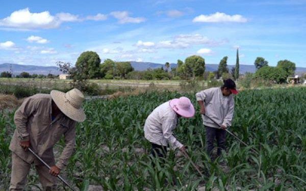 Puebla, con rumbo en el combate a COVID-19, señala Barbosa a López-Gatell