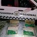 Guardia Nacional rescata 60 loros de un autobús en Texmelucan