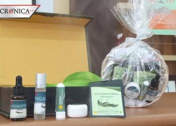 Indonesia promociona collar de eucalipto como remedio contra COVID-19