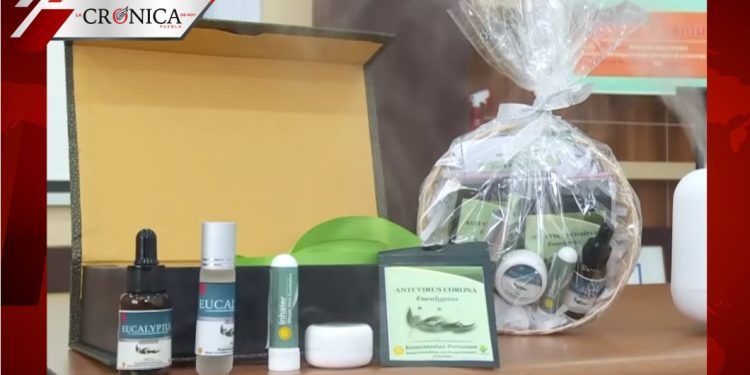 Indonesia promociona collar de eucalipto como remedio contra COVID-19
