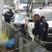 Hombre muere atropellado sobre la autopista Puebla-Orizaba